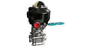 Fig.131 BV mounted with limit switch box